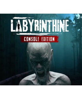 Labyrinthine Console Edition PS5 PlayStation 5 Key EUROPE